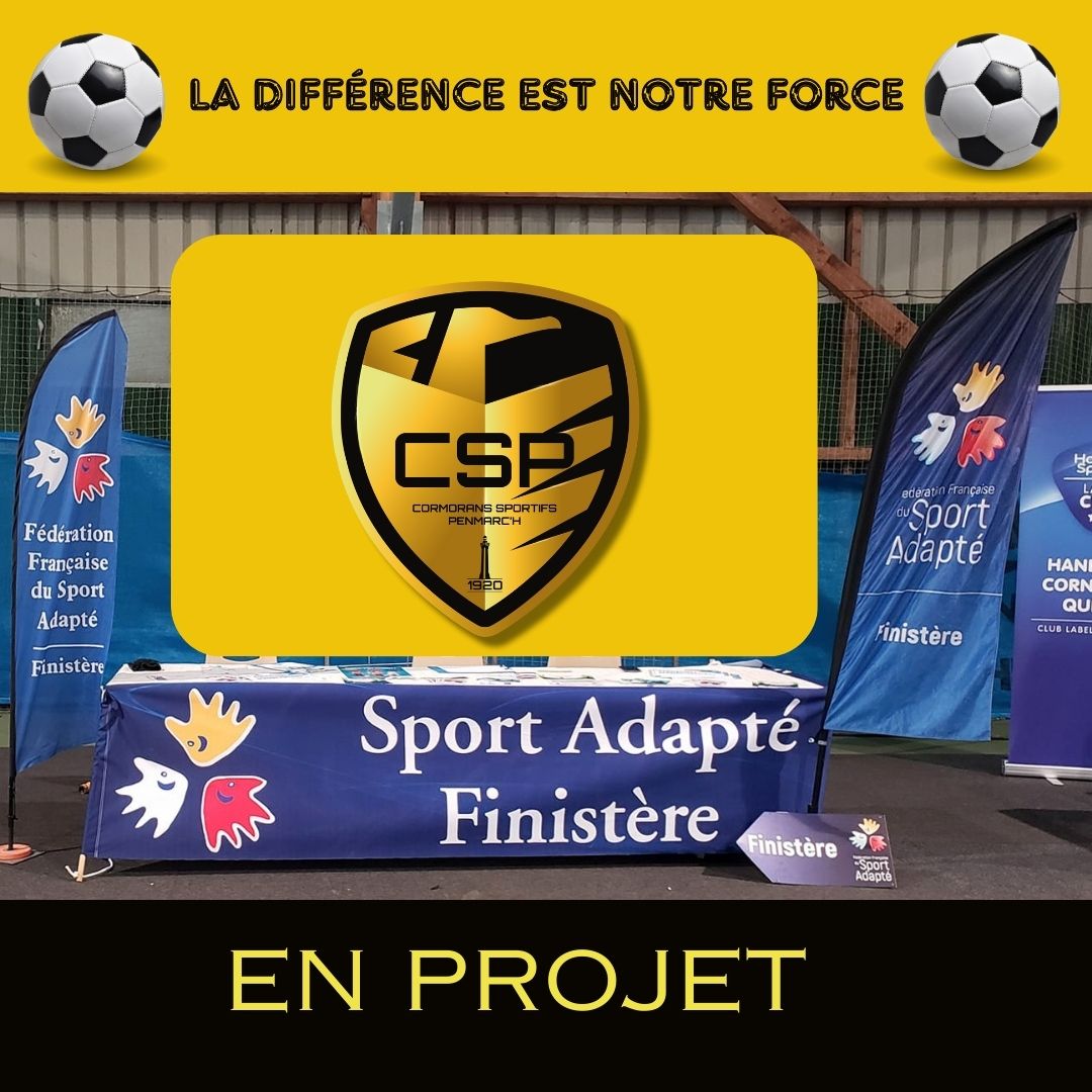 Sport adapté